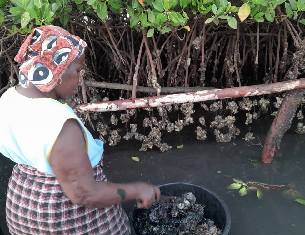 Groupement de femmes transformant des produits halieutiques